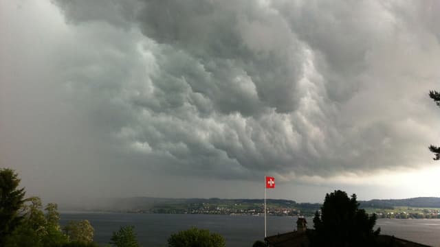 View from Vully to Lake Murten.