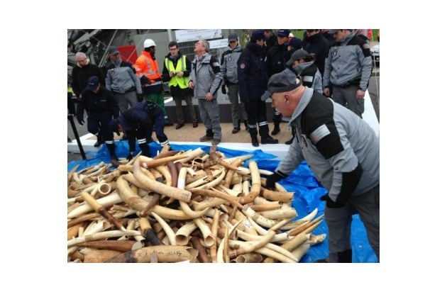 Finally: The UK’s ivory trade ban goes into effect